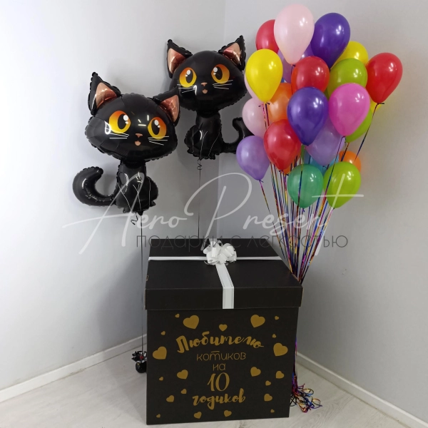 Коробка-Сюрприз с шарами "Кошечки"